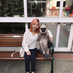 Meet your Posher, Xiaozhu